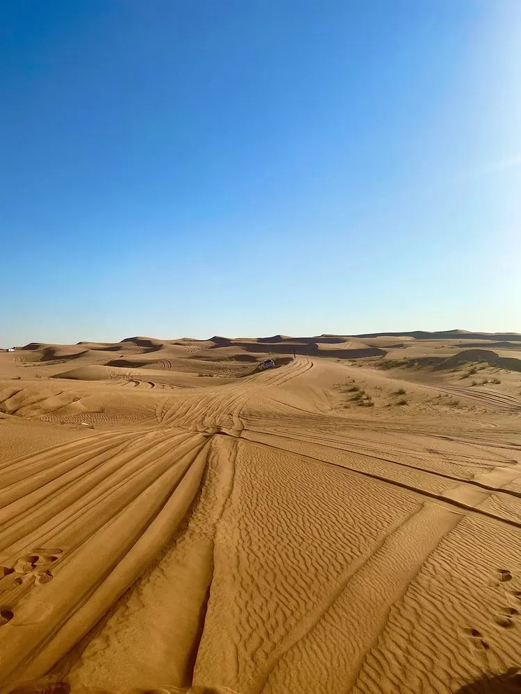 Desert safari near Dubai