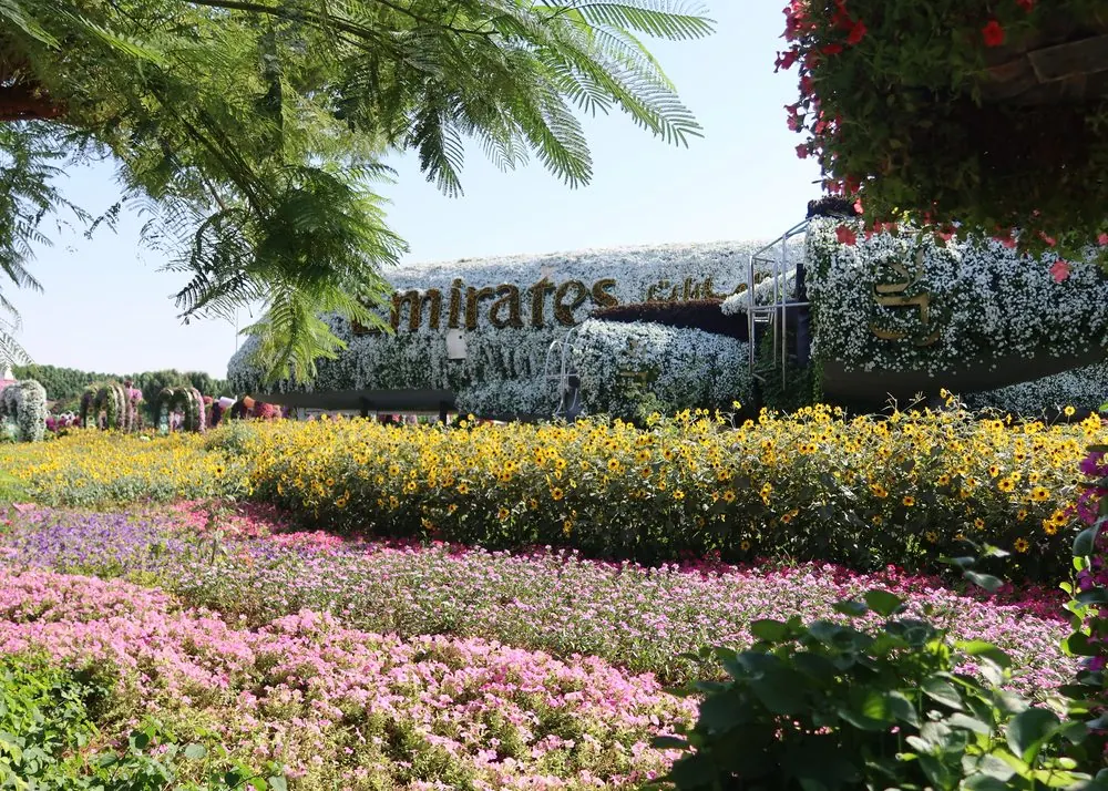 Miracle Garden in Dubai